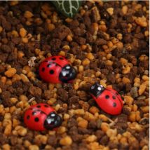 Autocollant éponge coccinelle rouge en bois | 10 pièces, autocollant auto-adhésif mignon pour enfants, jouets de bébé Scrapbooking, jeux décoratifs de jardin