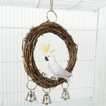 Cage de balançoire pour perroquet, jouet à mâcher pour perruche, Cockatiel, cacatoès, accessoires pour oiseaux