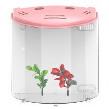 Aquarium Aquarium de bureau | Petit poisson rouge ornemental, poisson acrylique , ornement de paysage Aquarium, fournitures pour animaux de compagnie