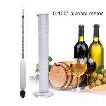 Vintage mesure bouteille ensemble outils alcoomètre compteur d'alcool vin Concentration mètre 100 hydromètre alcoo hydromètre testeur