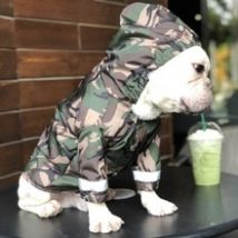 Vêtements imperméable pour chien de compagnie | Vêtements d'extérieur pour grands chiens, vêtements de Camouflage imperméables, manteau de pluie pour chiens ou bouledogue français