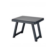 Table Pliante Portable