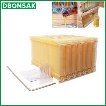 Automatische Honig Sammlung Nest Rahmen Imker Bienenstock Lebensmittel-Klasse Kunststoff Waben Block Biene Milz Kasten Bienenzucht Werkzeuge