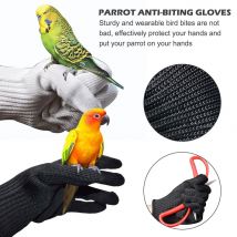 Gants Anti-morsure pour l'entraînement des oiseaux, gants de fil de manipulation pour petits animaux, gants de protection à mâcher pour perroquets écureuils Hamster hérisson