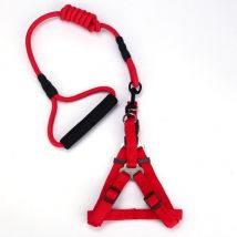 Laisse pour chien laisse pour animaux de compagnie en Nylon pour chien et chat en cours d'exécution ou collier de dressage et harnais