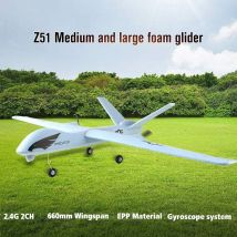 Modèle de vol planeurs Z51 LED RC planepan 2CH oeb vol aile avion EPP mousse planeur avion