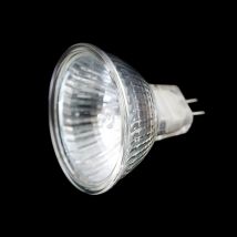 MR16 12V 35W Watt lumière de Base halogène projecteur douille tasse lumière froide ampoule lampe de