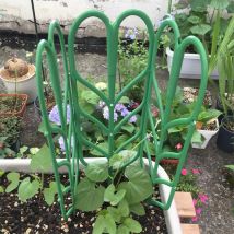 3 pièces escalade rotin porte-plante lierre vignes fleur support plantes en croissance support réglable en plastique fleur support combinaison