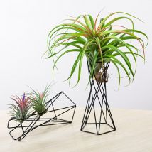 Support de plante d'air de Style nordique Pots de fleurs en métal support géométrique fer Tillandsia support Table maison ornements de jardin