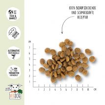 VegDog Green Crunch - 1 kg
