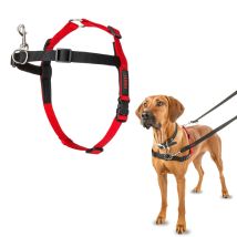 Halti Hundegeschirr - S