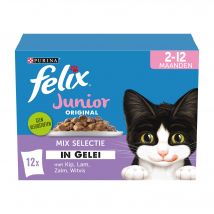 Felix Original Junior Nassfutter - 4 Geschmacksrichtungen