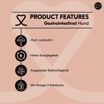 Vetality Gastrointestinal Hund - 3 x 3 kg