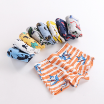 Slips pour garçons Mother&Kids Boxers filetés pour enfants moyens Rayures de dessin animé de dinosaure Slips pour bébé aléatoires