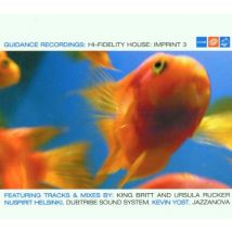 Hi-Fidelity House: Imprint 3