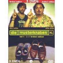 Die Musterknaben Teil 1-3 [3 DVDs]
