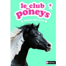 Le club des poneys, Tome 6 : Cheyenne dans la nuit