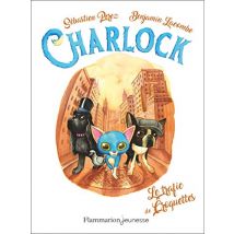 Charlock : Tome 2, Charlock et le trafic des croquettes (Charlock, 2)