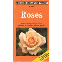 Roses : Comment identifier aisément les roses aux parfums les plus délicats (Minguiter)