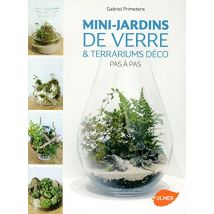 Mini-jardins de verre & terrariums déco : Pas à pas