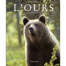 L'ours