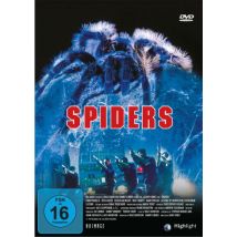 Spiders
