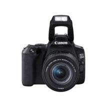 Canon EOS 250D con obiettivo EF-S 18-55mm 1:3.5-5.6 IS STM nero - Ricondizionato - ottimo - Grade A