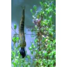 Macroinvertebrados De Las Aguas Dulces De Galicia