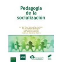 Pedagogía De La Socialización (ebook)