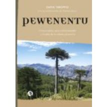 Pewenentu (ebook)