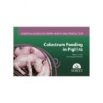 Colostrum Feeding In Piglets