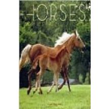 Horses 2008 (calendario 30x30)