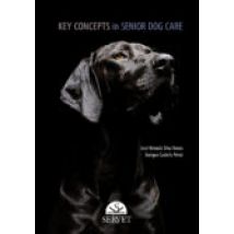 Key Concepts In Senior Dog Care