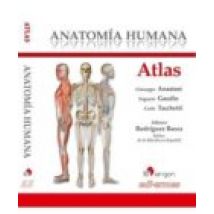 Atlas Anatomia Humana