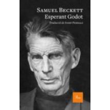 Esperant Godot (ebook)