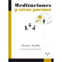 Meditaciones Y Otros Poemas (edición Bilingüe Español-inglés)