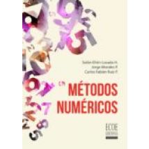 Métodos Numéricos (ebook)