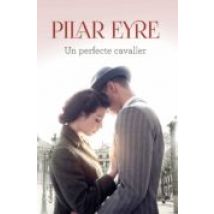 Un Perfecte Cavaller (ebook)