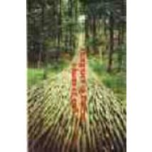 Parques Y Esculturas. Guia De Europa