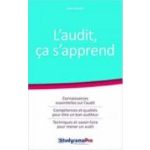 L Audit Ça S Apprend