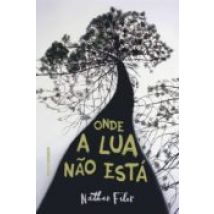 Onde A Lua Não Está (ebook)