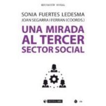 Una Mirada Al Tercer Sector Social (ebook)