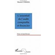 L Essentiel De L Audit Comptable Et Financier