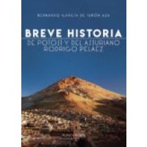 Breve Historia De Potosí Y Del Asturiano Rodrigo Peláez (ebook)