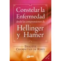 Constelar La Enfermedad: Desde Las Comprensiones De Hellinger Y H Amer