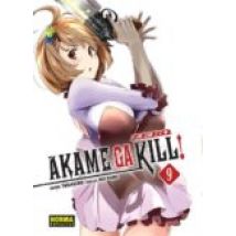 Akame Ga Kill! Zero 09