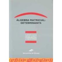 Algebra Matricial: Determinants