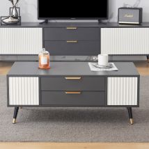 Table basse moderne 100×50×40 cm avec 2 portes,  2 tiroirs et des accents dorés,  finition de haute qualité,  espace de rangement pratique, Blanc+gris