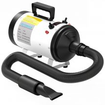 PawHut Sèche-cheveux pour chien pulseur chien professionnel 2200W avec 3 buses différentes faible bruit 3 températures blanc