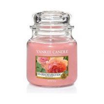 Yankee Candle - Bougie Jarre En Verre Senteur Rose Et Abricot Moyen Modèle